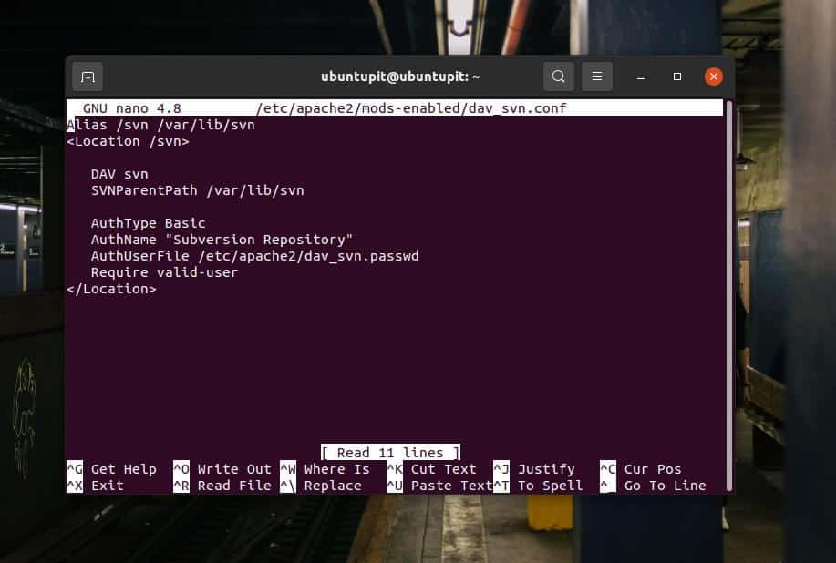 nano svn config on Linux