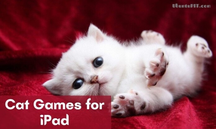 Best Cat Games for iPad