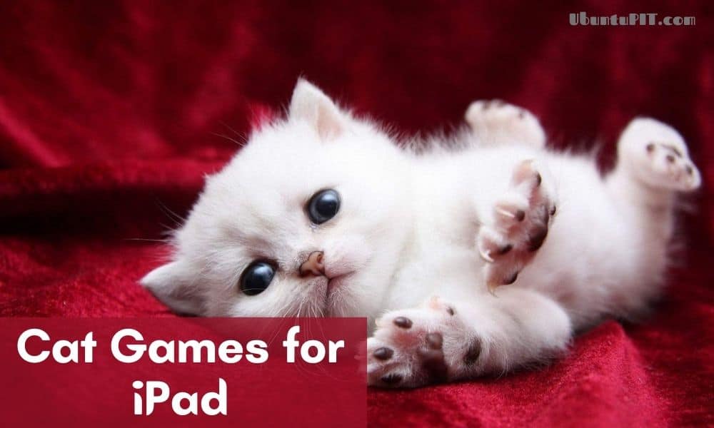 Top 10 Best Cat Games For iPad To Enjoy A Pet Time