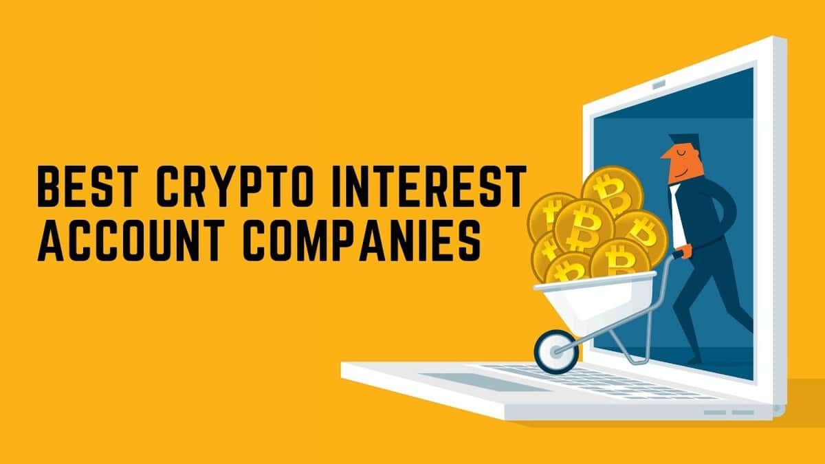 Best Crypto Interest Account Companies in 2021