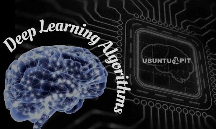 Top Deep Learning Algorithms