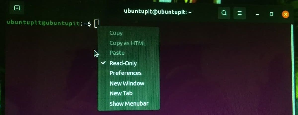 set read only mode in Terminal Linux