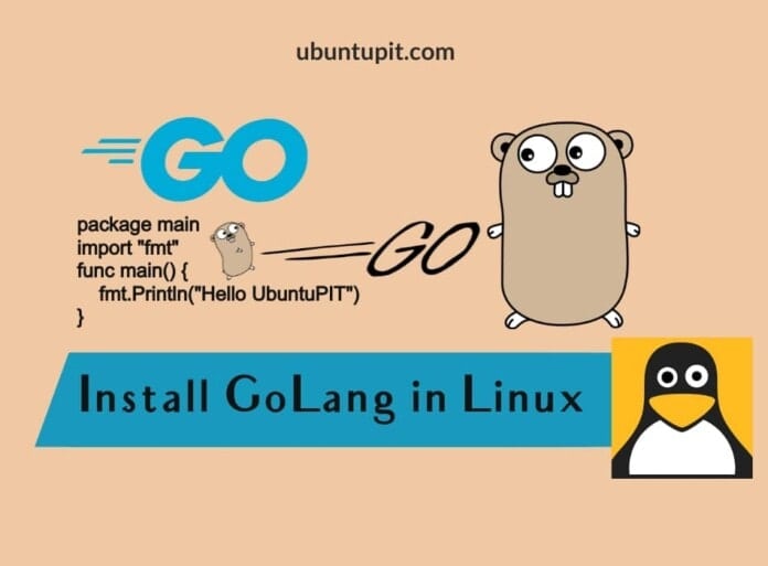 Install GoLang on Linux