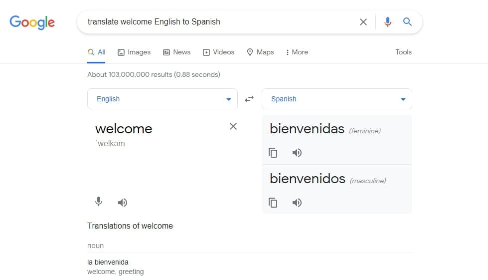 Google Translator_ excellent search tricks