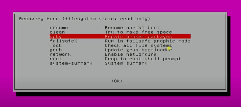 repair brpken packages from recovery mode on ubuntu