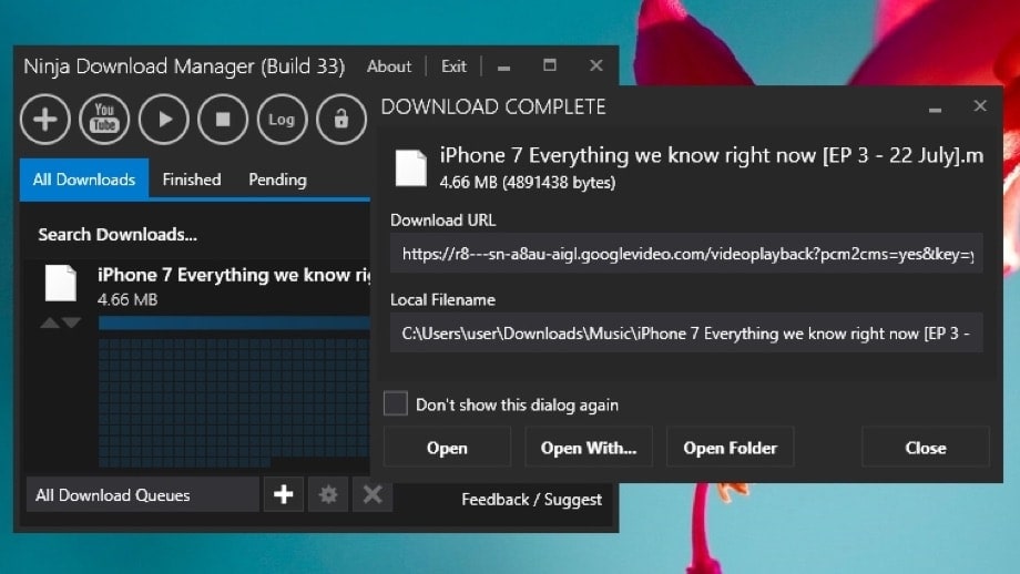 Ninja Download Manager for Windows