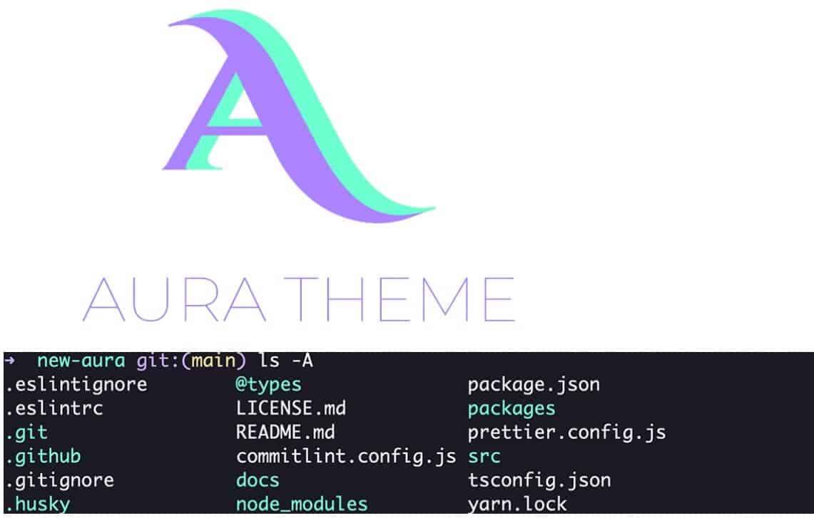 aura themes terminal