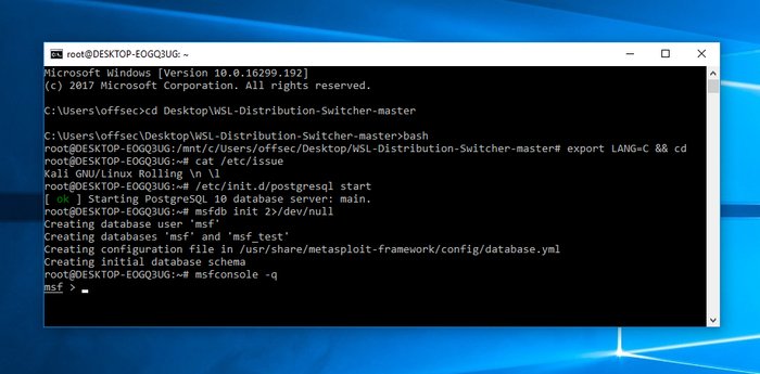 Kali in WSL