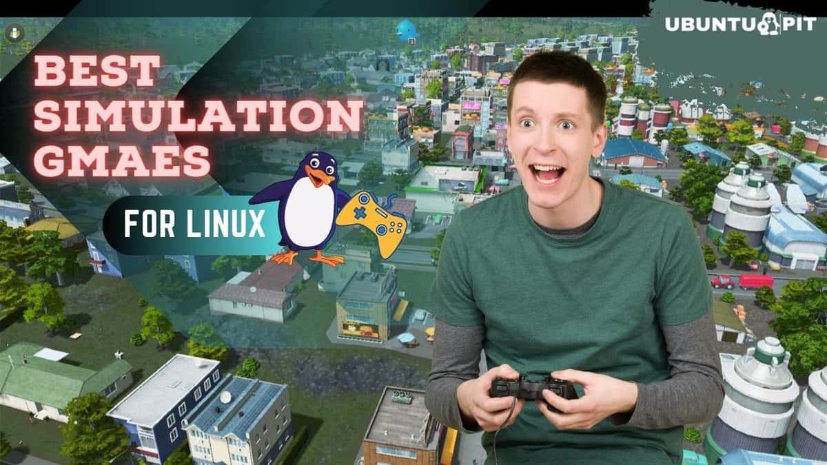 Top 5 Best Simulation Games for Linux Live Out Another Life
