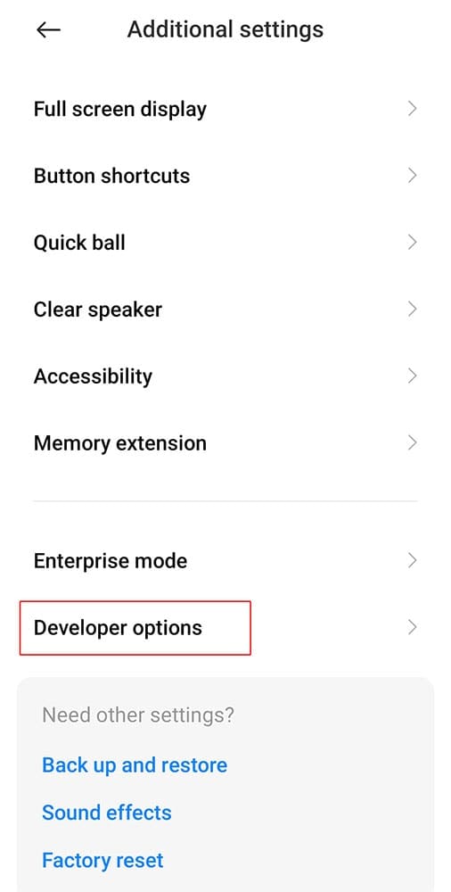 Developer Options