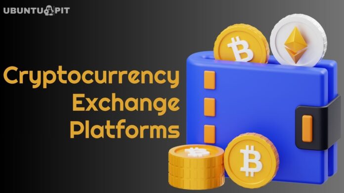 Cryptocurrency Exchange Platforms