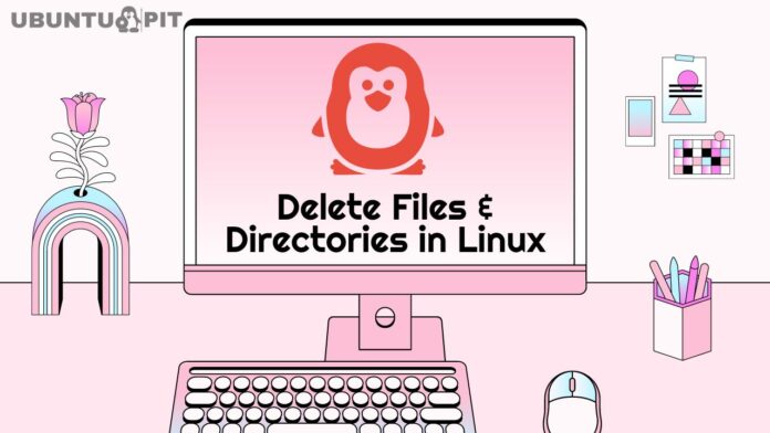 How to Delete Files and Directories in Linux-2