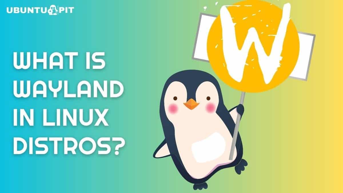 What is Wayland in Linux Distros and Should You Use it?