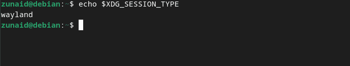 show xdg session type for wayland