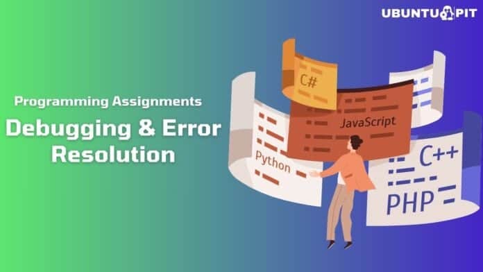 Debugging and Error Resolution in Programming Assignments