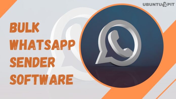 Bulk WhatsApp Sender Software