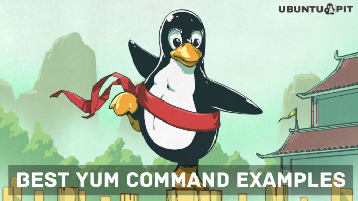 YUM Command Examples for RHEL or CentOS